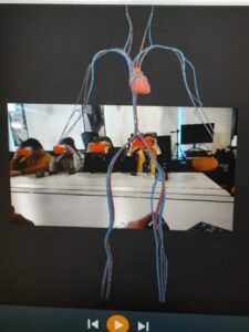 wnętrze człowieka w 3D
